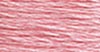 25 Carnation - lt