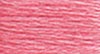 26 Carnation - med lt