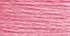 50 China Rose - med