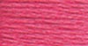 54 China Rose - dk