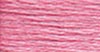 55 Beauty Rose - lt