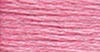 66 Raspberry - lt