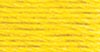 289 Canary Yellow - med