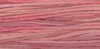 2279 Sweetheart Rose