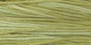 1191 Dried Sage