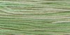 2181 Cactus