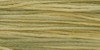 2210 Citronella