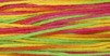 4143 Calypso
