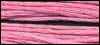 024 Pink Posey