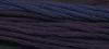 070 Purple Aster