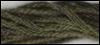 179 English Ivy