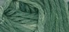 010 Fern Frond