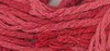 022 Strawberry Shortcake
