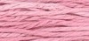 031 Carnation
