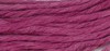 056 Petunia