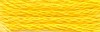 2298 canary - dp