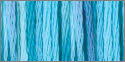 4020 tropical waters