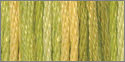 4070 autumn leaves