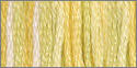 4080 daffodil fields