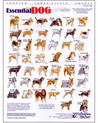 Click here to view larger image