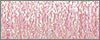 092 Star Pink