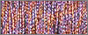 5007 Brocade