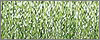015 Chartreuse