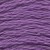 552 violet - md
