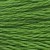 905 parrot green - dk