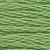 989 forest green