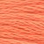 3340 apricot - md