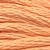 3825 pumpkin - pl