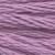 3836 grape - lt