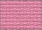 Pink Lady