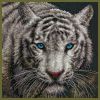 Animal Cross Stitch Patterns