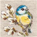 Titmouse