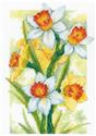 Kit, Spring Glow Daffodils by Riolis
