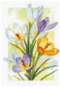 Kit, Spring Glow Crocuses by Riolis