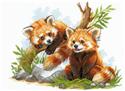 Kit, Red Panda Cubs by Riolis