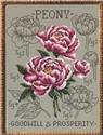 Peony