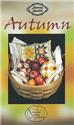 Pattern, Autumn - Snazzy Smalls by Boulder Valley Stitching