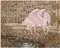Pegasus