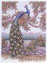 Pattern, Peacock Majesty by Teresa Wentzler