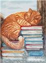 Kit, Afternoon Nap by Wizardi