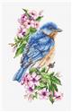 Kit, Blue Bird on the Branch by Wizardi