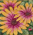 Kit, African Daisies by Mill Hill