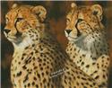 Pattern, Cheetah Brothers by Artecy Cross Stitch