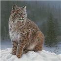 Pattern, Silent Sojourn by Artecy Cross Stitch