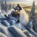 Pattern, Winter Trails by White Willow Stitching