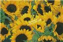 Pattern, Sunflowers Photo by Artecy Cross Stitch